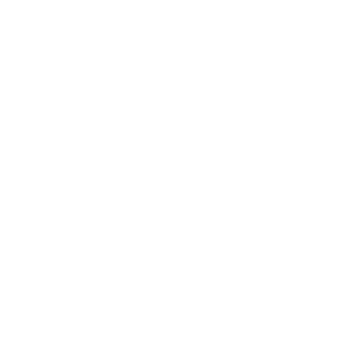 wordpress single white fff 512 - Webdesign-Leistungen